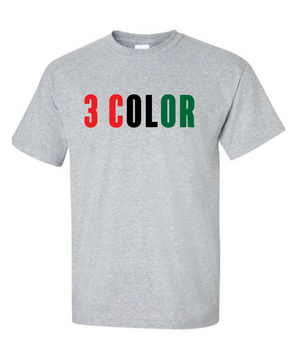12 Custom T-Shirts (3 Color Design)